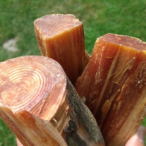 Fatwood Sticks for Fire Making or wood craft. High Octane Red Pine Fatwood Fresh From The Forests of SW Michigan.