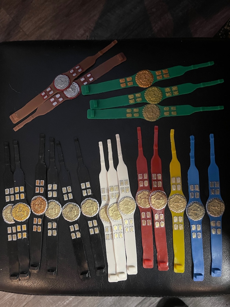 Op de afbeelding: Een verzameling van 18 plastic speelgoed kampioensgordels in verschillende kleuren, waaronder zwart, wit, rood, geel, blauw en groen. De gordels hebben goudkleurige gespen en platen met een ontwerp van een ster en een cirkel.