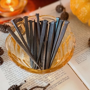 May include: A collection of dark grey, hand-forged iron nails with square heads and tapered shafts, standing upright inside a small, scalloped-edge amber glass bowl. The bowl rests on an open book with visible printed text and small pinecones.