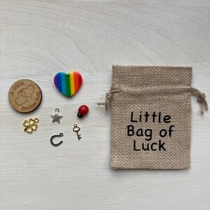 Little Bag of Luck, Good Luck Gift, Positivity Gift, Thinking of you, Token Gift, Luck Keepsake Gift, Good Luck Exams, Good Luck Charms