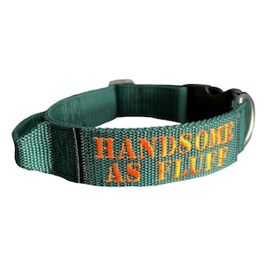 Flyball collar sales