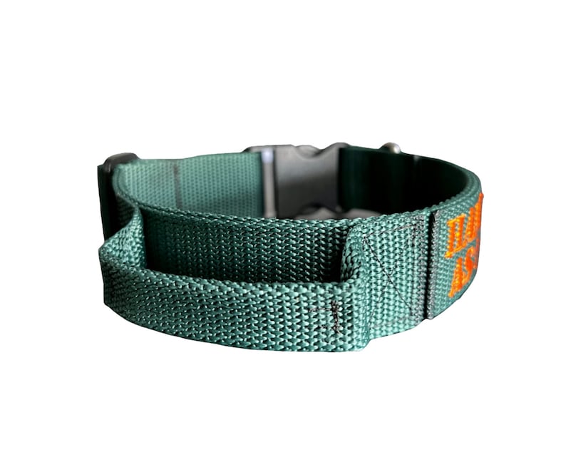 Puede incluir: Un collar de perro verde con una hebilla negra y texto bordado en naranja que dice "Doggy Adventure".