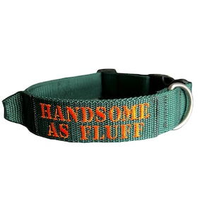 Puede incluir: Un collar de perro verde con un mensaje bordado en naranja que dice "HANDSOME AS FLUFF".