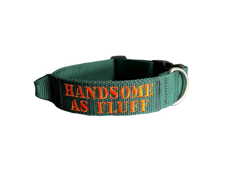 Puede incluir: Un collar de perro verde con un mensaje bordado en naranja que dice "HANDSOME AS FLUFF".