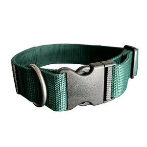 Puede incluir: Un collar de perro verde oscuro con una hebilla de pl&aacute;stico negro y un anillo en D de metal plateado.