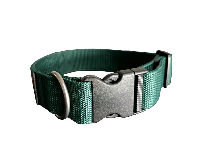 Puede incluir: Un collar de perro verde oscuro con una hebilla de pl&aacute;stico negro y un anillo en D de metal plateado.