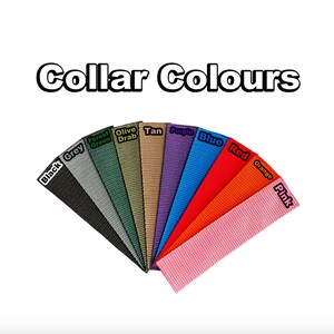 Puede incluir: Una selecci&oacute;n de 10 colores diferentes de collares para perros, incluyendo negro, gris, verde bosque, verde oliva, marr&oacute;n, morado, azul, rojo, naranja y rosa.