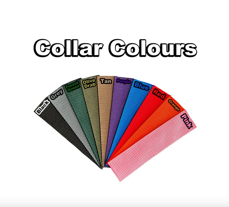 Puede incluir: Una selecci&oacute;n de 10 colores diferentes de collares para perros, incluyendo negro, gris, verde bosque, verde oliva, marr&oacute;n, morado, azul, rojo, naranja y rosa.