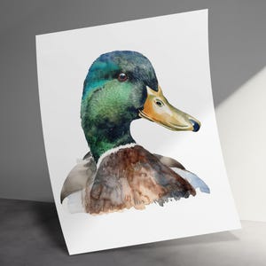 Mallard Duck Watercolor Art Print Mallard Duck Wall Decor Bird Art Poster Wildlife Painting Print Nature Inspired Artwork Mallard Duck Decor