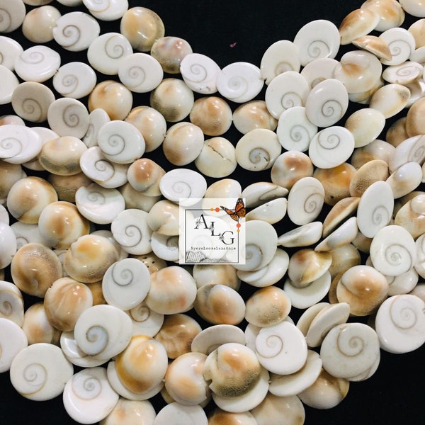 Natural Shiva Shell Beads - 8" Beaded Strand - Shiva Shell Beads – Natural Round Shell Beads – Gemstone Cabochon Bead - Round Cab Beads