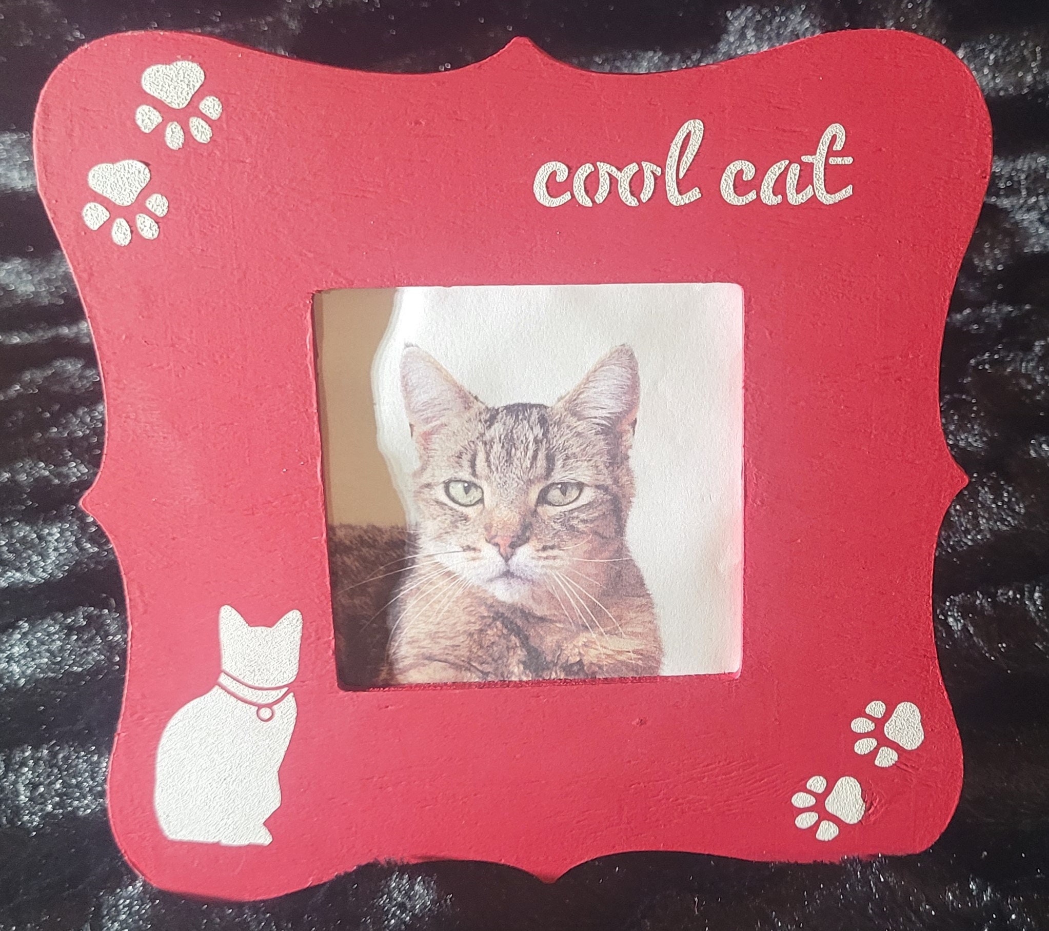 Cat Frame Etsy