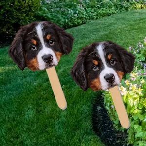 Face on A Stick Big Head Cutouts Fat Head Bachelorette Photo booth props, Bach Party Favors, Graduation Birthday Party Pet Face big head