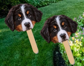 Face on A Stick Big Head Cutouts Fat Head Bachelorette Photo booth props, Bach Party Favors, Graduation Birthday Party Pet Face big head