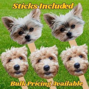 Face on A Stick Big Head Cutouts Fat Head Bachelorette Photo booth props, Bach Party Favors, Graduation Birthday Party Pet Face big head