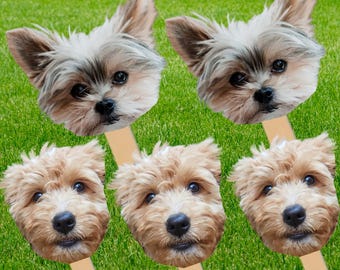 Face on A Stick Big Head Cutouts Fat Head Bachelorette Photo booth props, Bach Party Favors, Graduation Birthday Party Pet Face big head