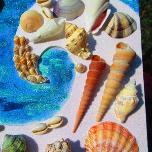 Raging Sea Message in a Bottle Framed Seashell Artwork, Message in a ...