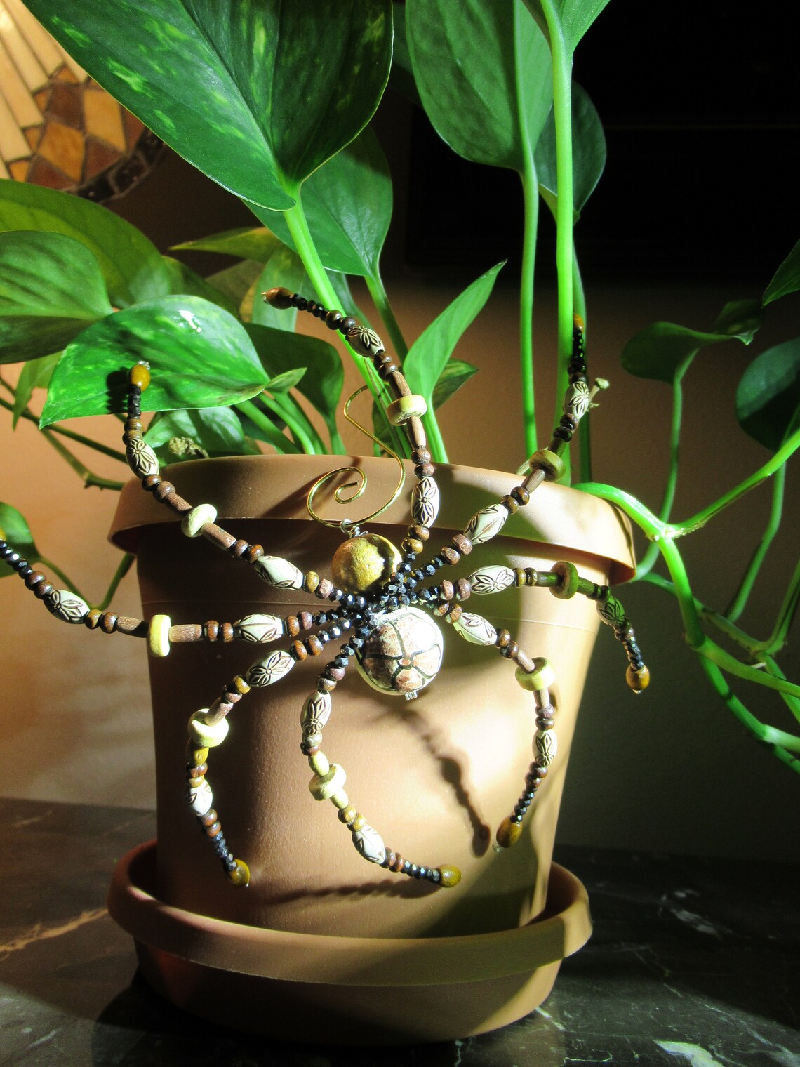 Large 6x6 Wooden Spider Tarantula Jewelry Art Ornament Etsy