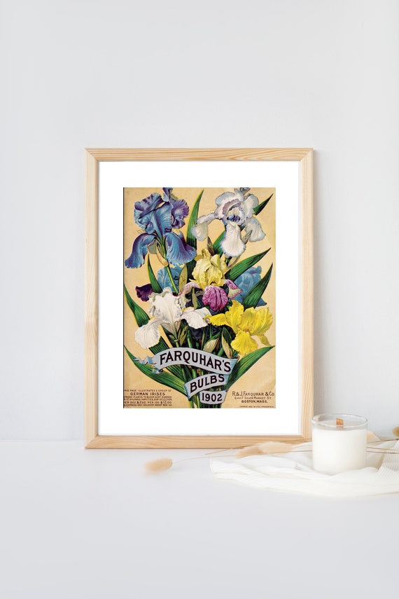 Printable Vintage Wall Art Wall Décor Flower Art Garden Etsy