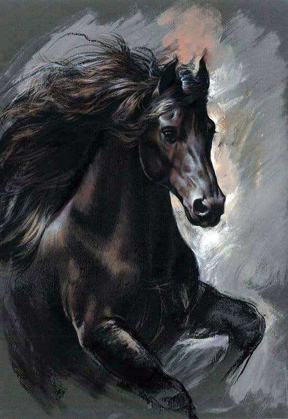 Black Horse Head Paintings