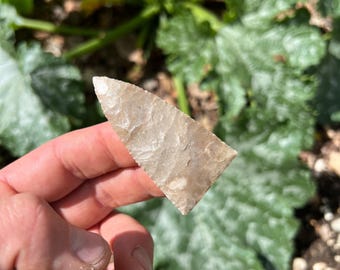 Edwards Chert Triangle-pijlpunt