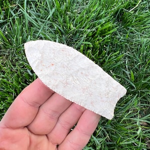 Puede incluir: Una punta de flecha de color crema, astillada, con una superficie texturizada. La punta de flecha se sostiene sobre un fondo de hierba verde. Tiene una punta y una base con muescas, lo que sugiere que se usó para la caza.
