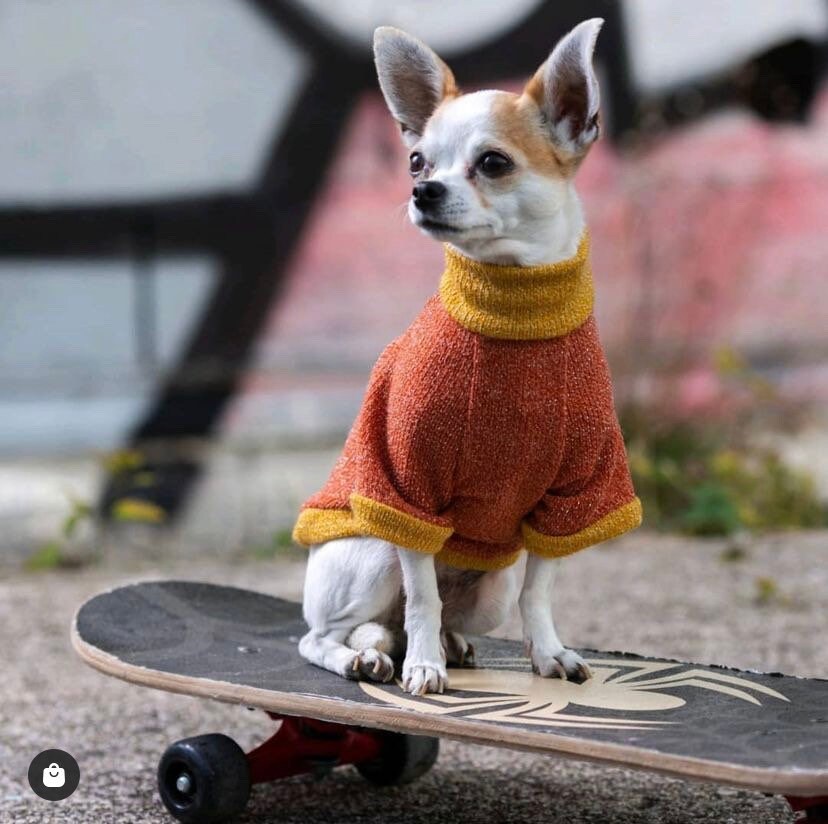 Col Roulé Instagram