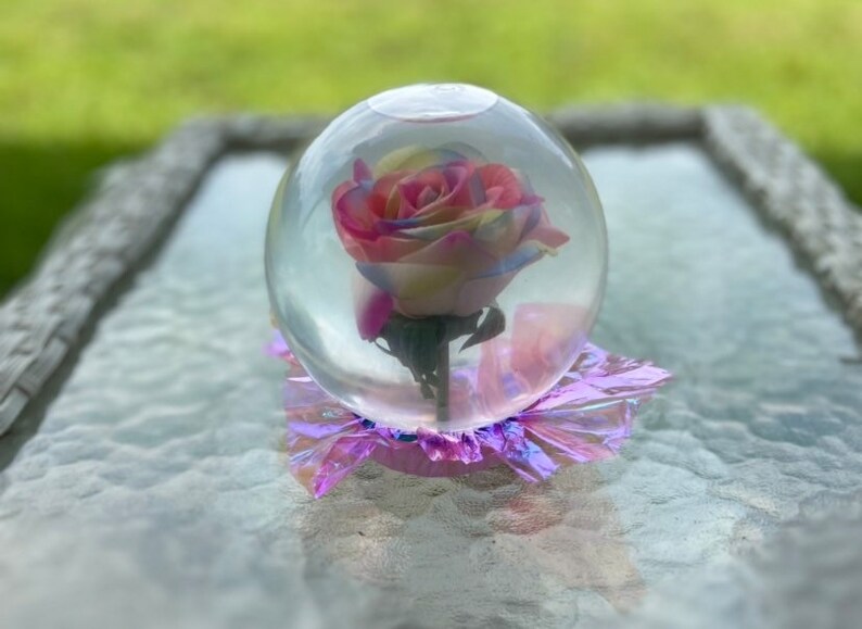 Rainbow Rose Globe - Etsy - How To Change The Water In A Rose Globe