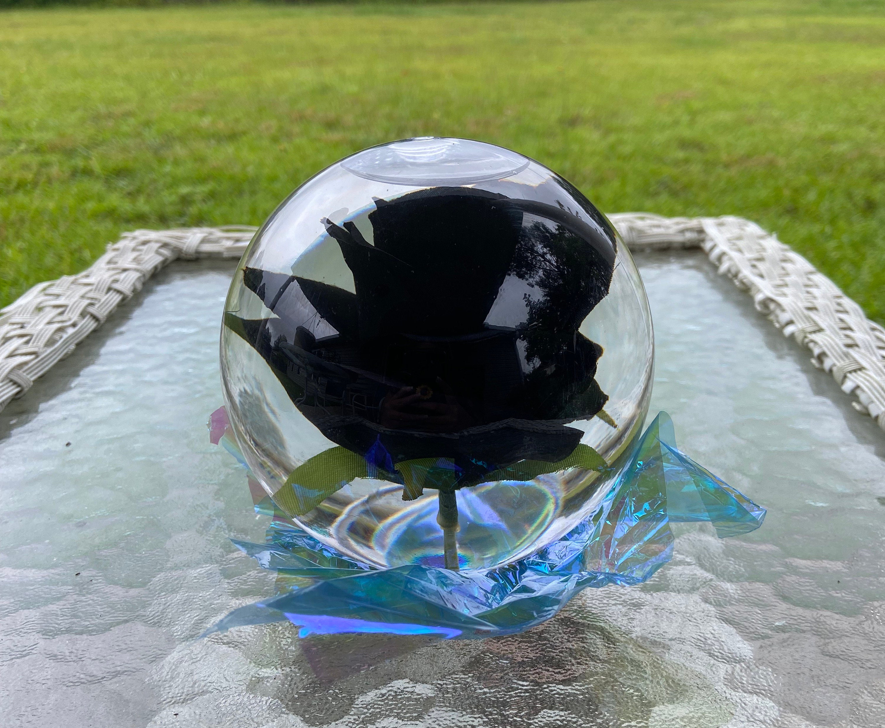 Black Rose Globe - Etsy - How To Change The Water In A Rose Globe