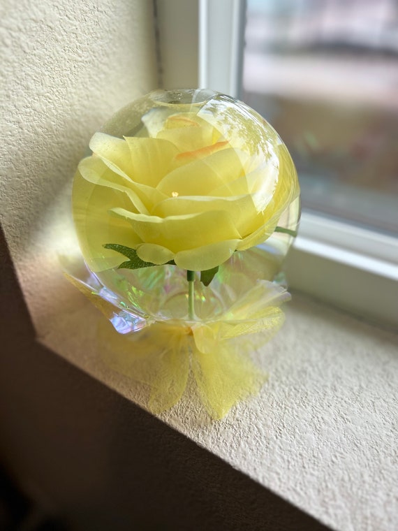 Rose in 2024 a globe