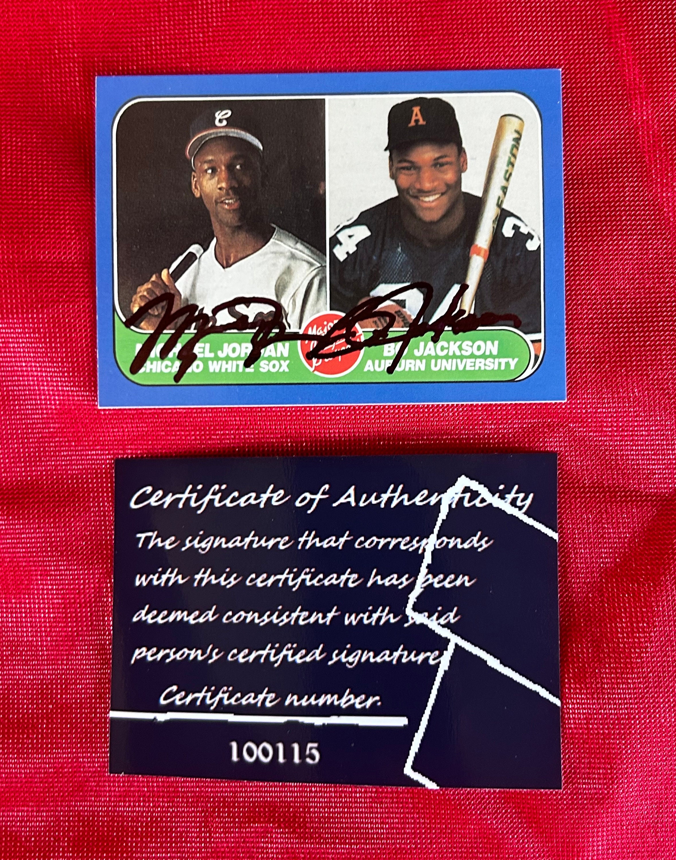 michael jordan and bo jackson baseball card