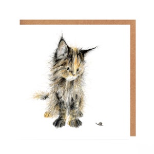 Carte Chaton - Sucette et escargot