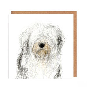 Biglietto di auguri Old English Sheepdog per tutte le occasioni - Bert
