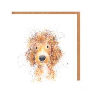 Cosmo Dog Card per tutte le occasioni - Cockapoo