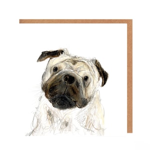 Biglietto di auguri per tutte le occasioni con il carlino - Edwin