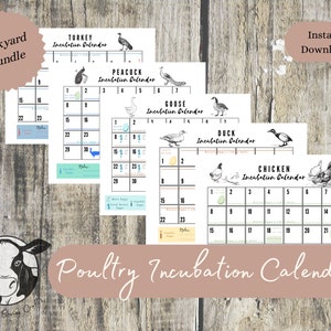 Printable Egg Incubation (Hatching) Calendar & tracker for backyard poultry. Instant Download with daily egg care, important dates.