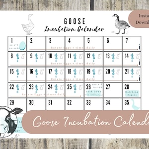 Printable Egg Incubation (Hatching) Calendar & tracker for Geese ONLY. Instant Download with daily egg care, important dates.