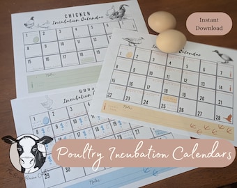 Printable Egg Incubation (Hatching) Calendar & tracker for Chickens, Ducks and Geese. Instant Download with daily egg care, important dates.