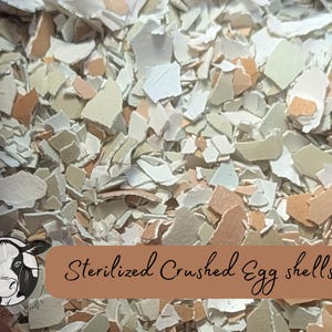 May include: Close-up of a pile of sterilised crushed eggshells. The shells are a mix of white, light brown, and beige. The text "Sterilised Crushed Egg shells" is visible in the image.