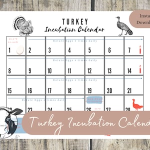 Printable Egg Incubation (Hatching) Calendar & tracker for Turkeys ONLY. Instant Download with daily egg care, important dates.