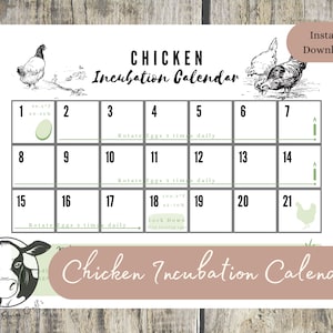 May include: A white Chicken Incubation Calendar with a 21-day layout, featuring illustrations of chickens and an egg. The calendar includes temperature and humidity guidelines, with the text "Instant Download" in a peach-colored oval.