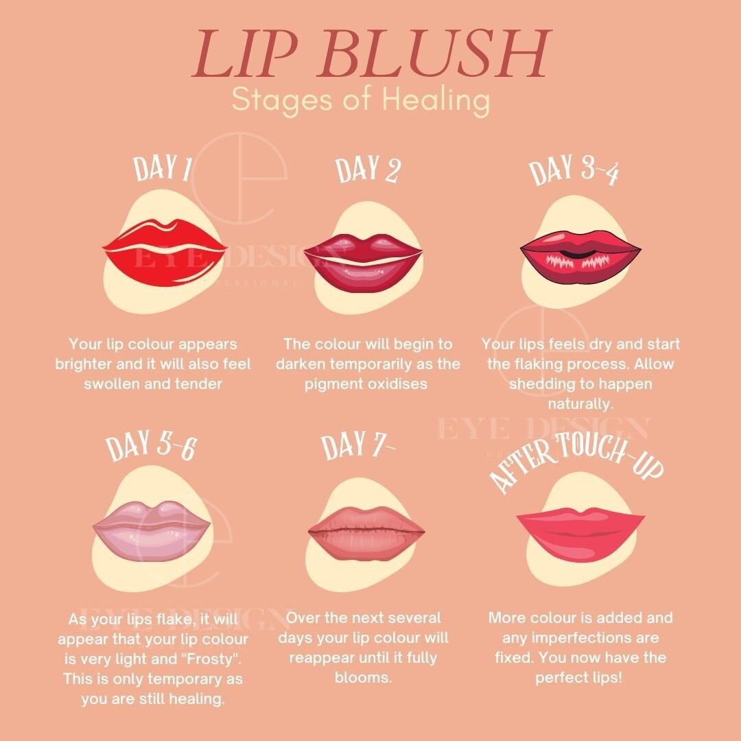 Lip Blush Stages Etsy