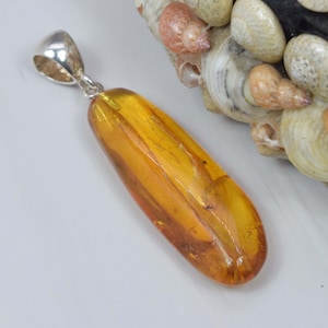 Insect Baltic Amber 925 Sterling Silver Gemstone Elegant Amber Pendant ~ Natural Amber ~ Handmade Pendant Jewelry ~ Gift For Christmas