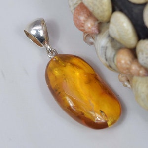 Insect Baltic Amber 925 Sterling Silver Gemstone Elegant Amber Pendant ~ Natural Amber ~ Handmade Pendant Jewelry ~ Gift For Christmas