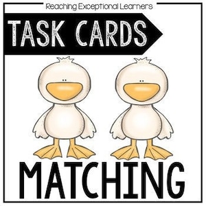 Matching Task Card Set