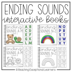 Ending Sounds Interactive Book for Special Education