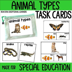 Animal Types Task Cards Special Education