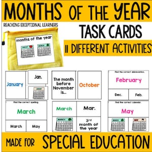 Months of the Year Task Cards Special Education