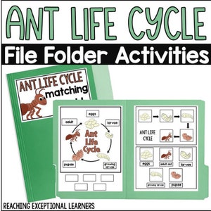 Ant Life Cycle File Folder Activity - Etsy