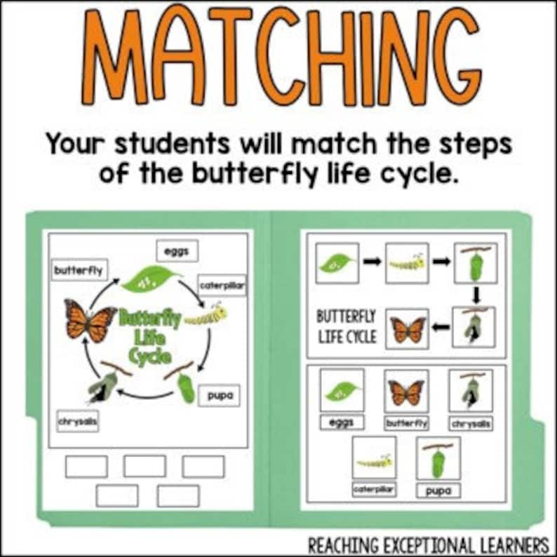 Butterfly Life Cycle File Folder Activity Etsy