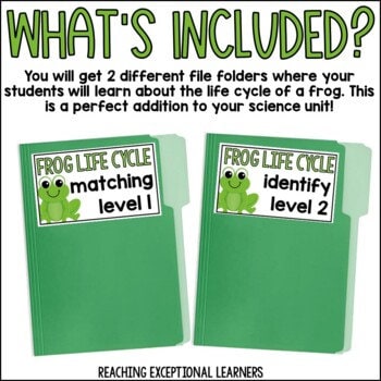Frog Life Cycle File Folder Activity - Etsy